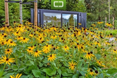 20ft container lounge