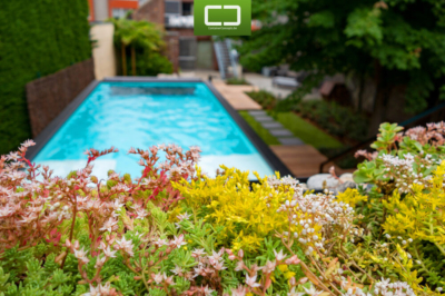 20ft container pool en kantoor