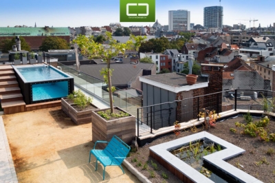 Antwerp Rooftop Pool