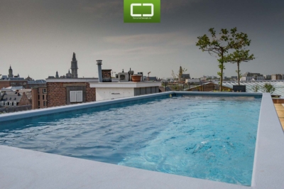 Antwerp Rooftop Pool