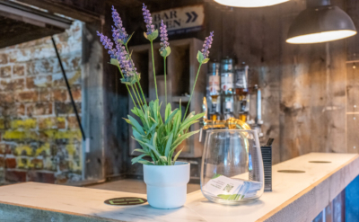 20ft mancave concept