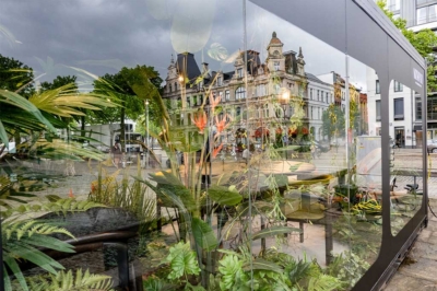 Morpho_showroom_glass