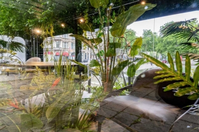 Morpho_showroom_inner