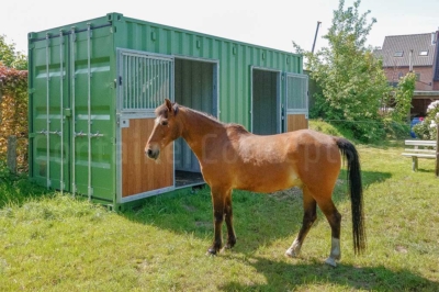 Paardenstal_St-Niklaas_horsefront