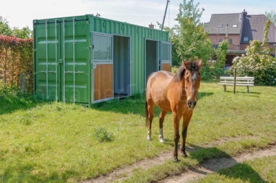Paardenstal_St-Niklaas_horseoutside
